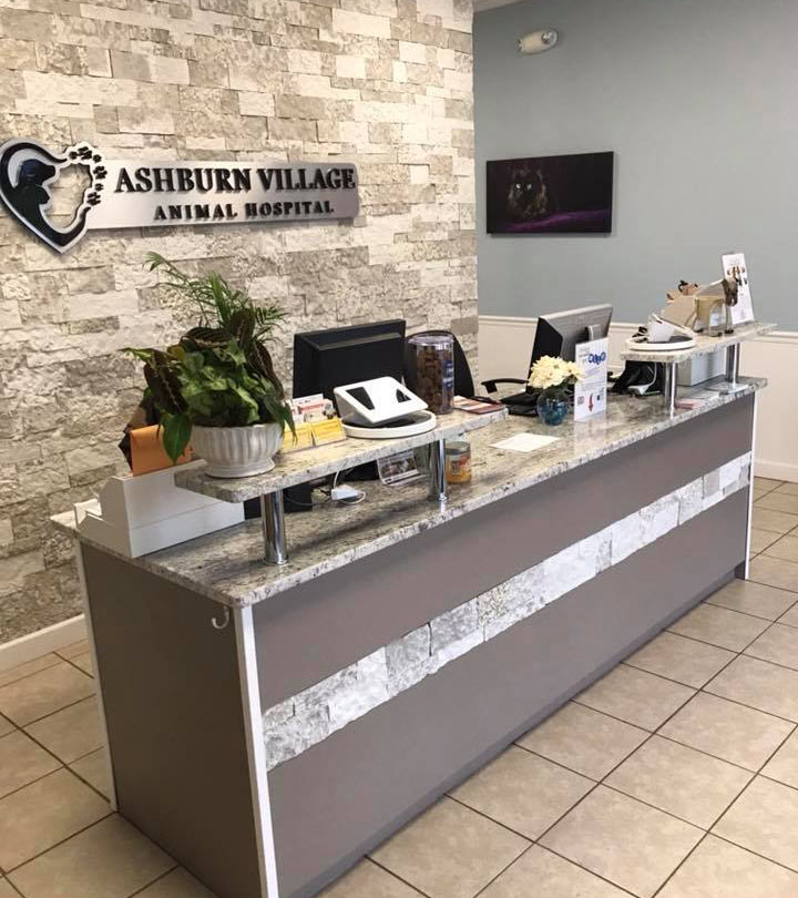 Ashburn VA pet hospital