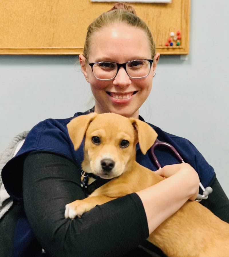 veterinary hospital in Ashburn
