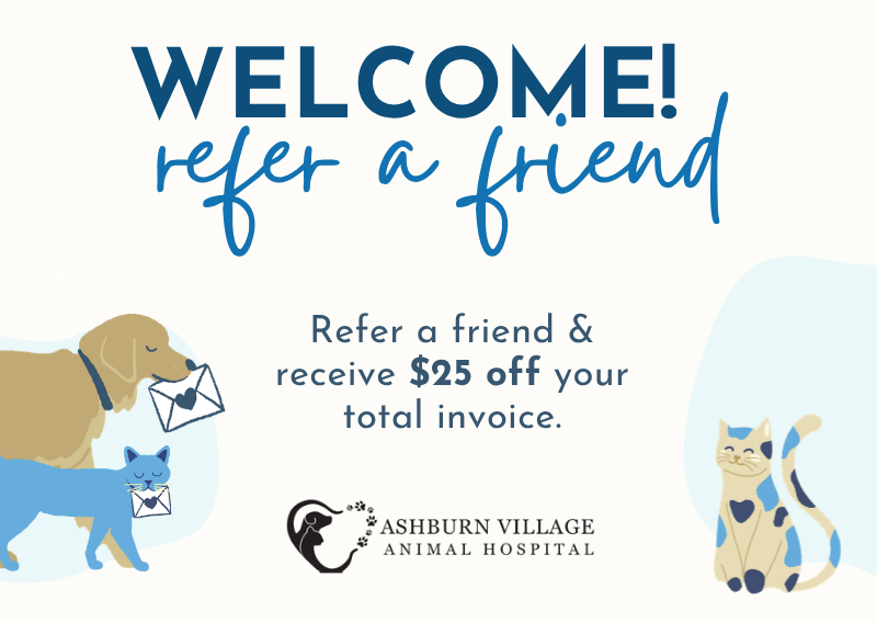 Carousel Slide 3: Refer a friend and receive $25 off your total invoice. Learn More >