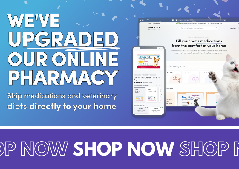 Carousel Slide 1: Check out our online pharmacy!